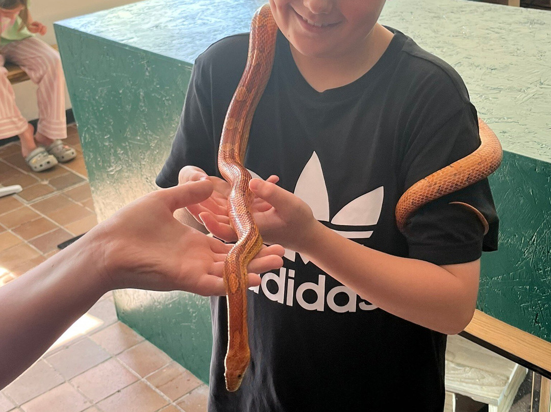 Reptile Encounters Scotland Ltd-Stevenston必去景点