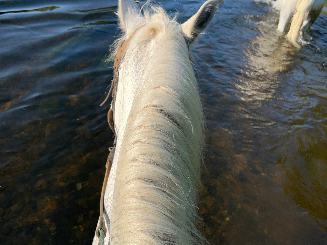Caballos de la Ribera-Huerta必去景点