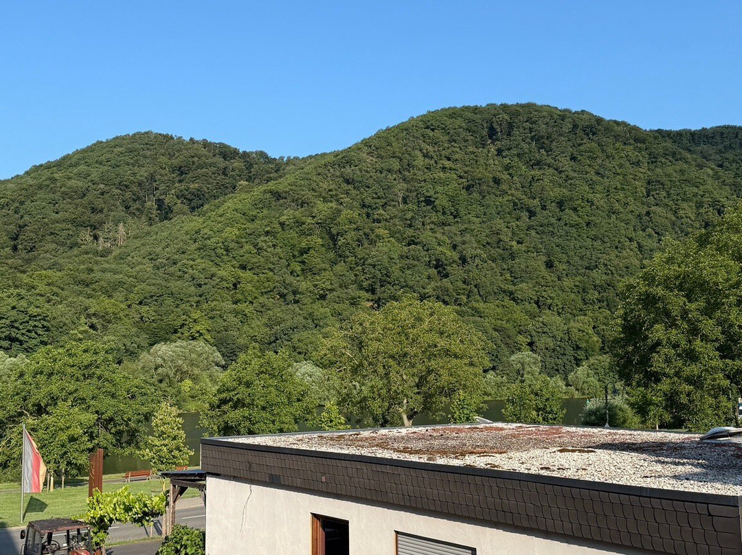 Ferienweingut SerwaziWein主图