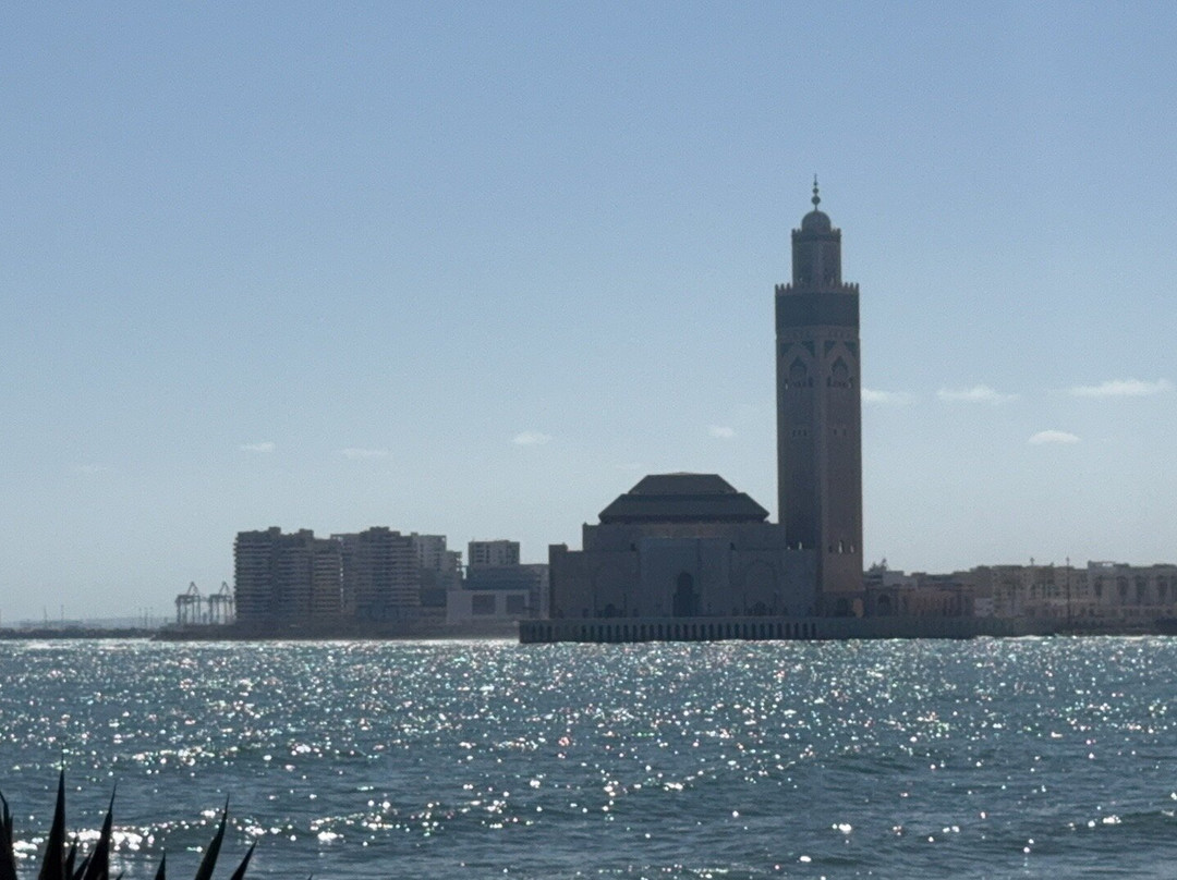 Premium Transfers and Tours Travel-卡萨布兰卡必去景点