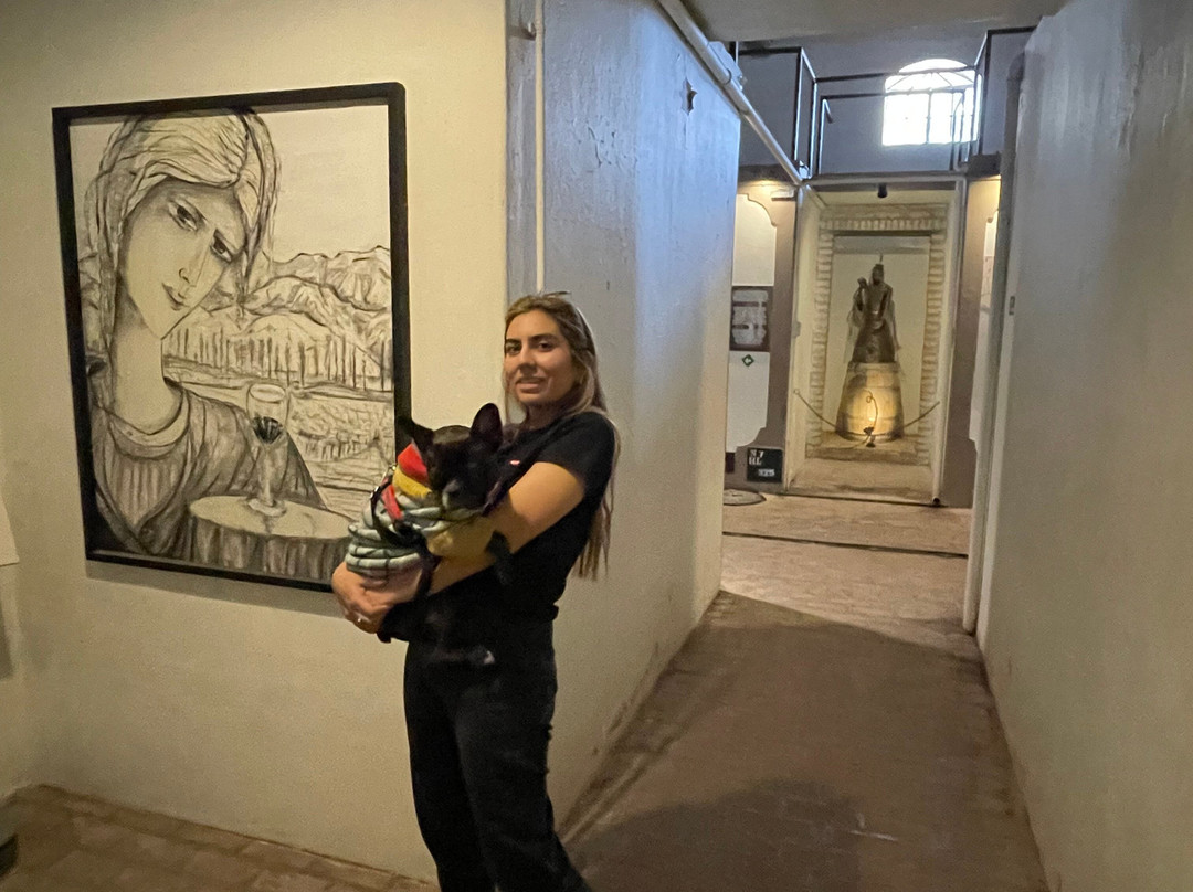 Bodega Labiano-圣拉斐尔必去景点