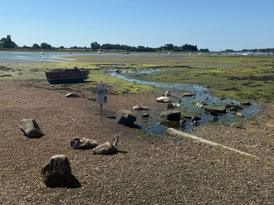Bosham Quay-Bosham必去景点
