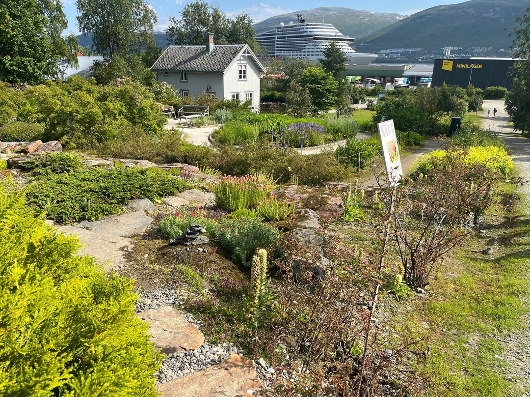 特罗姆瑟植物园-特罗姆瑟必去景点