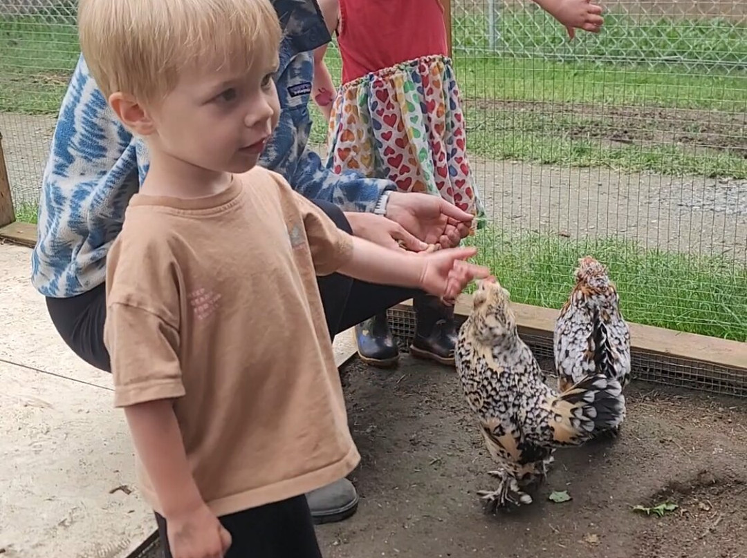 Don-O-Ray Farm Adventure-基洛纳必去景点