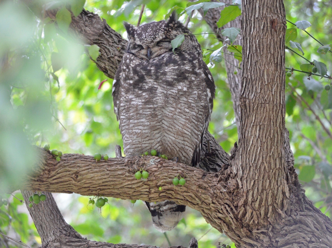 African Experience-Vredehoek必去景点