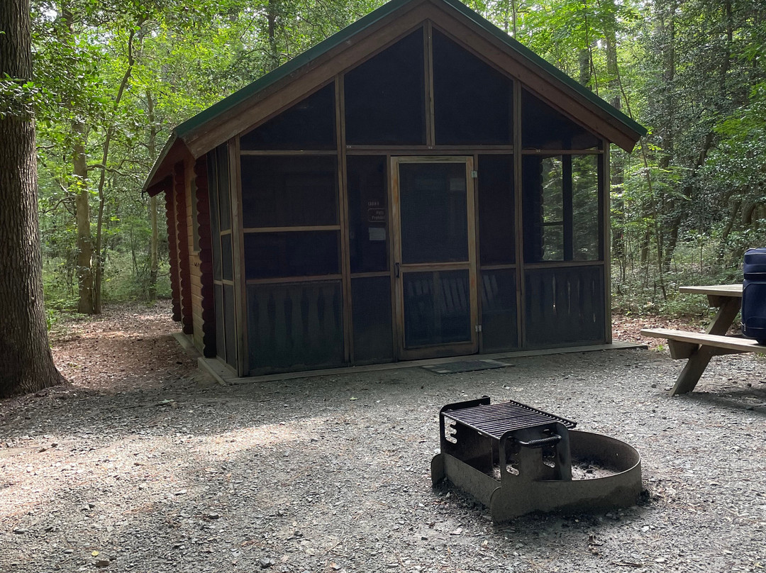 Trap Pond State Park-特拉华州必去景点