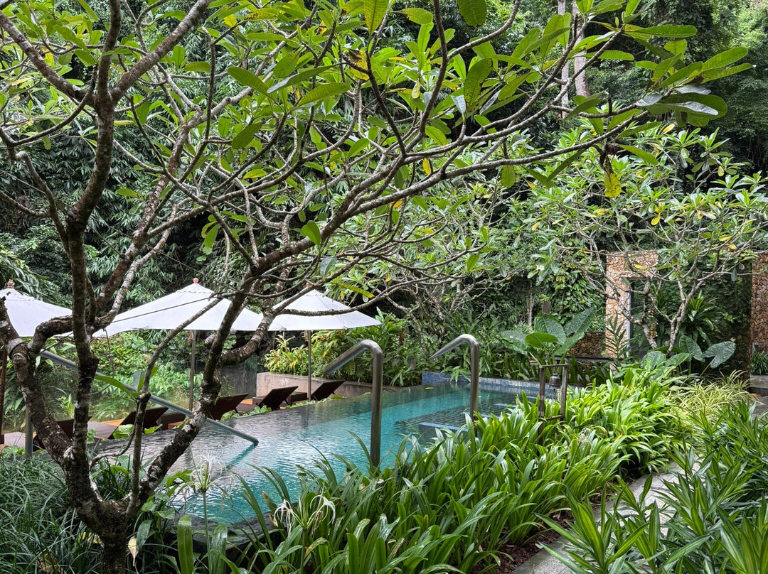 Rainforest Spa-Ko Chang必去景点