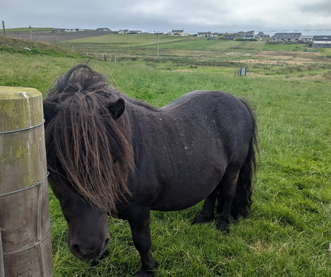 Withyburn Croft Tours-Bigton必去景点