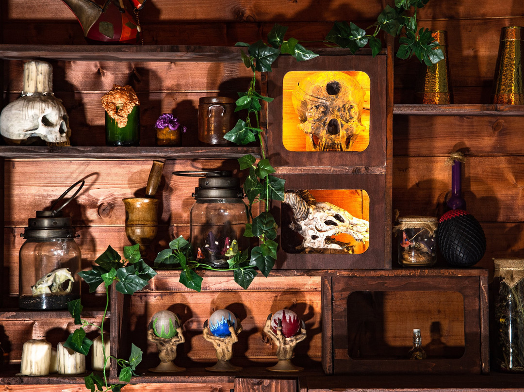 Alive Room-Escape game-Bayonne必去景点