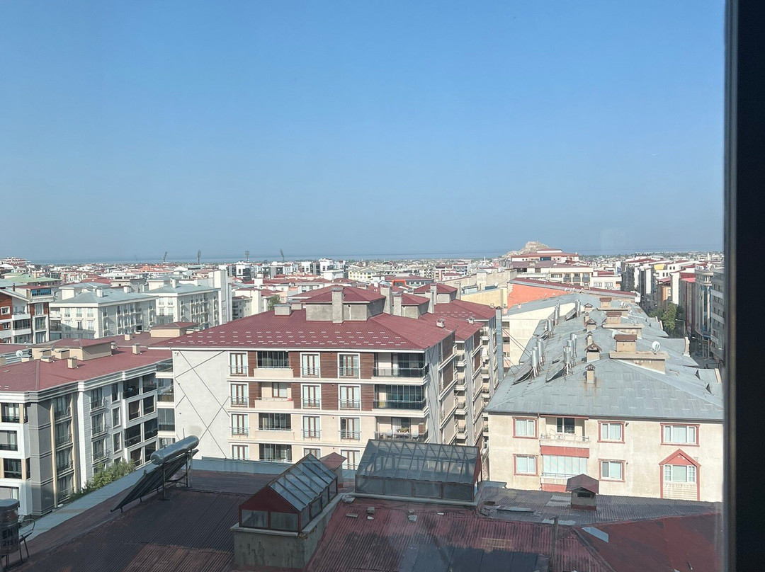 Elite World Van主图