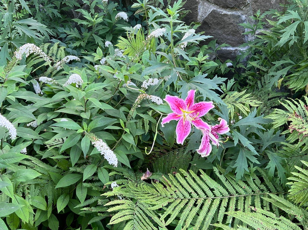 The Clermont Mansion-Germantown必去景点