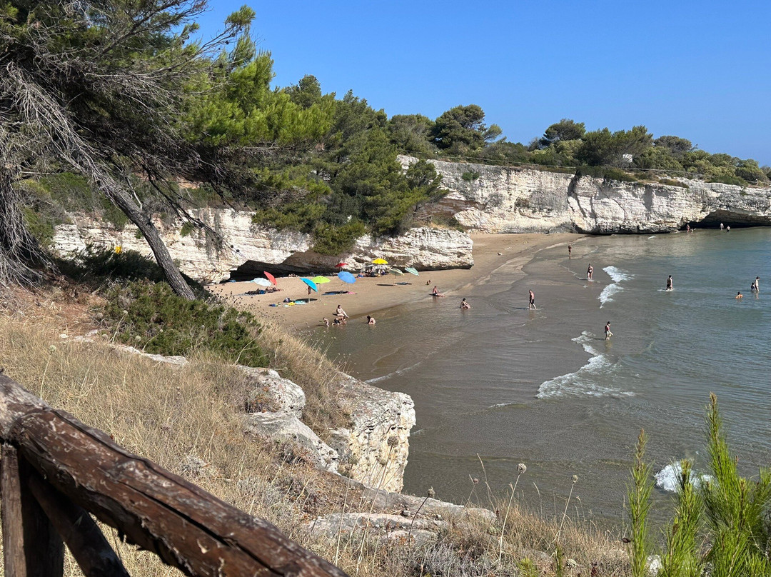 Spiaggia dei Colombi-维耶斯泰必去景点
