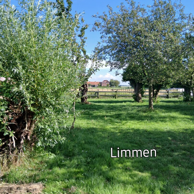 Shepherd's House主图