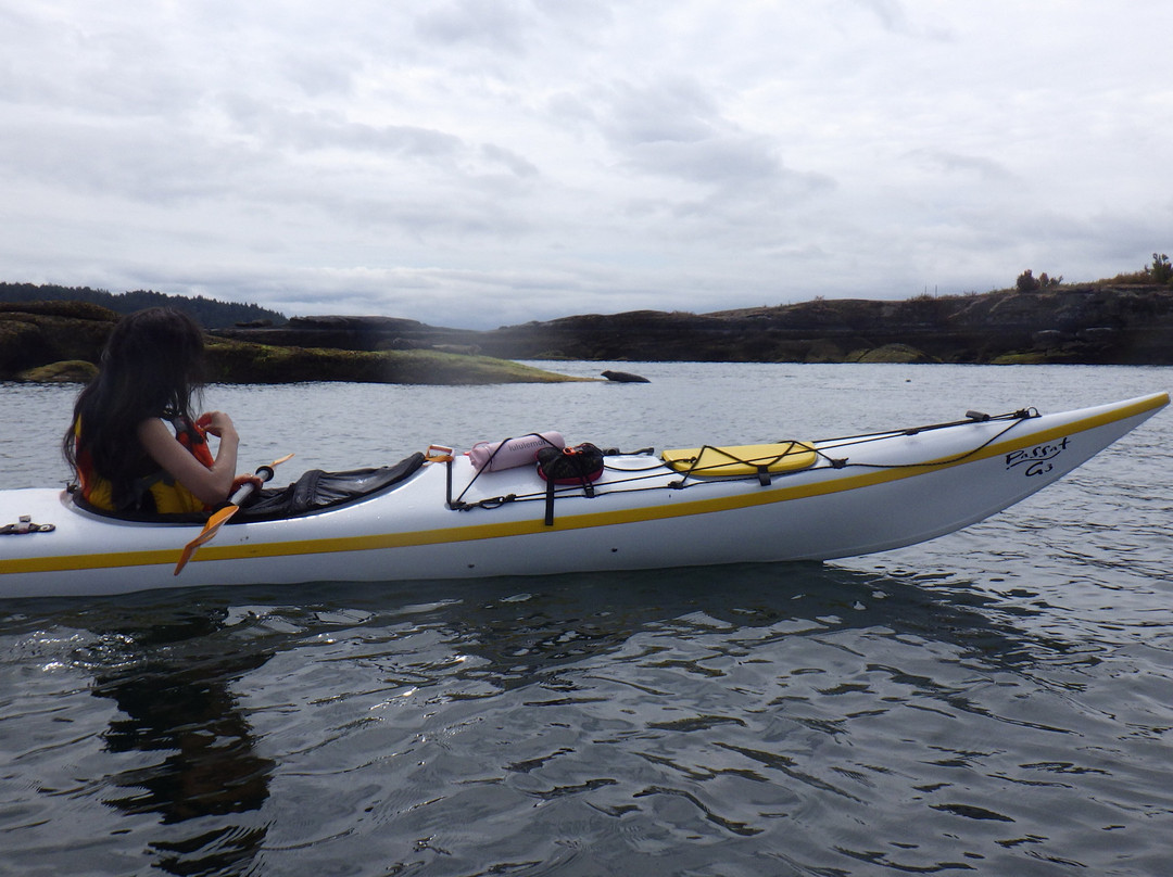 Island Römer Adventures-纳奈莫必去景点