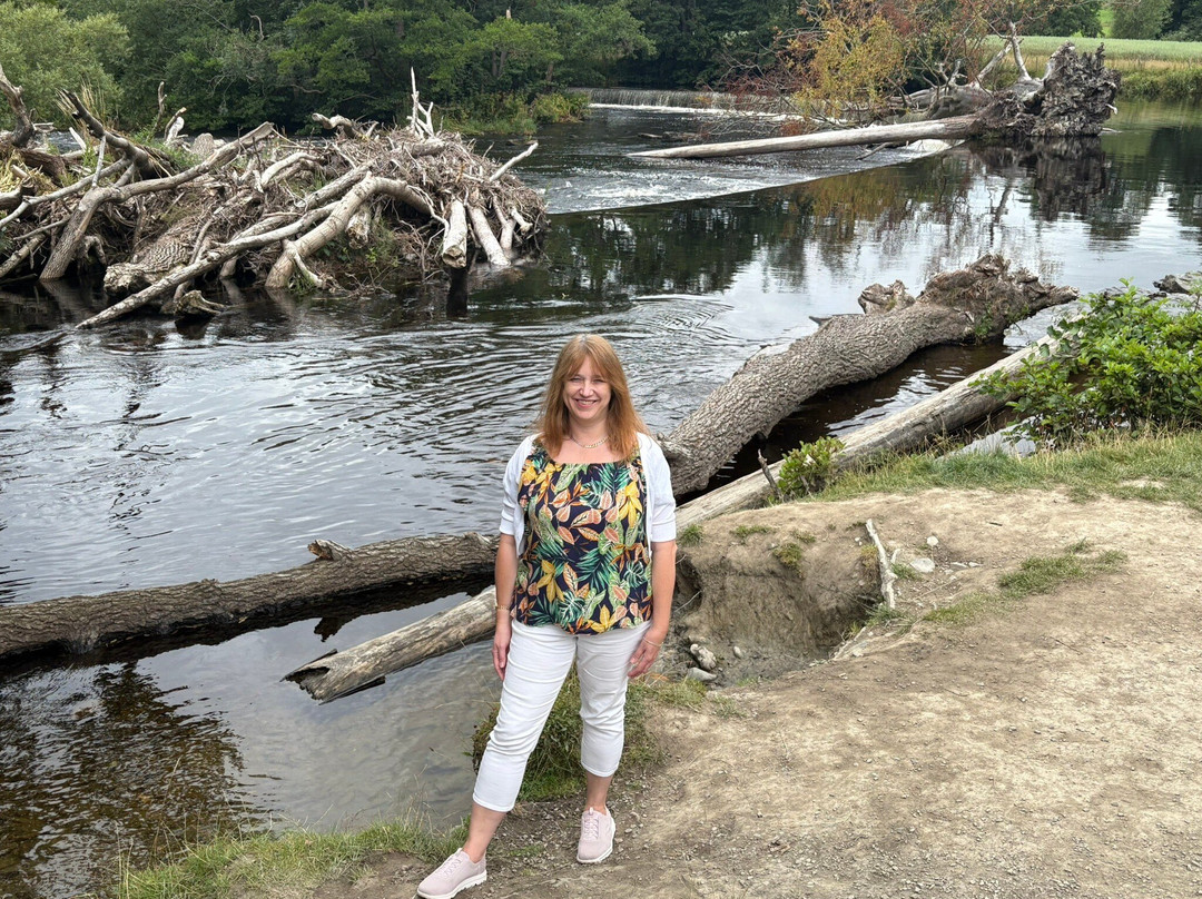 Llangollen and the Horseshoe Falls-兰戈伦必去景点