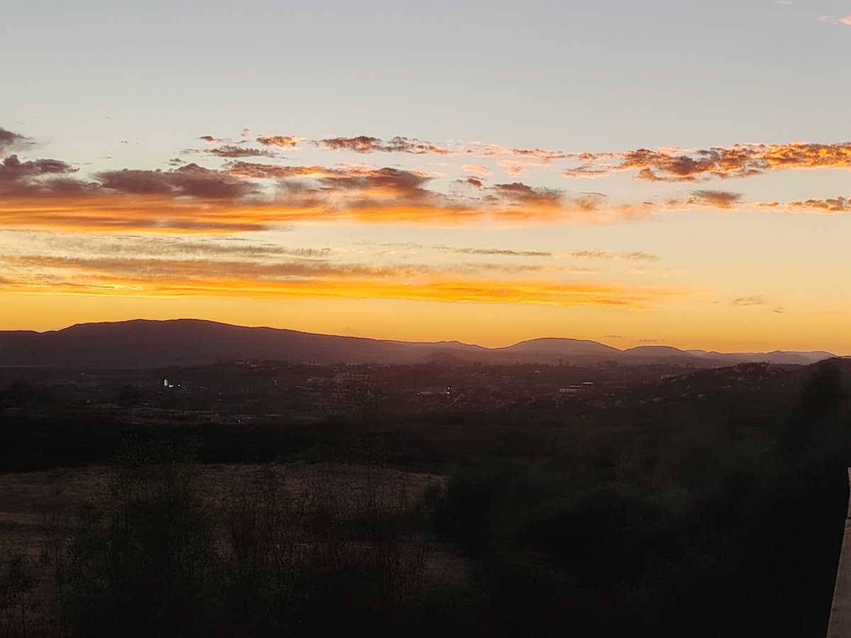 Viña Calabria-官方
