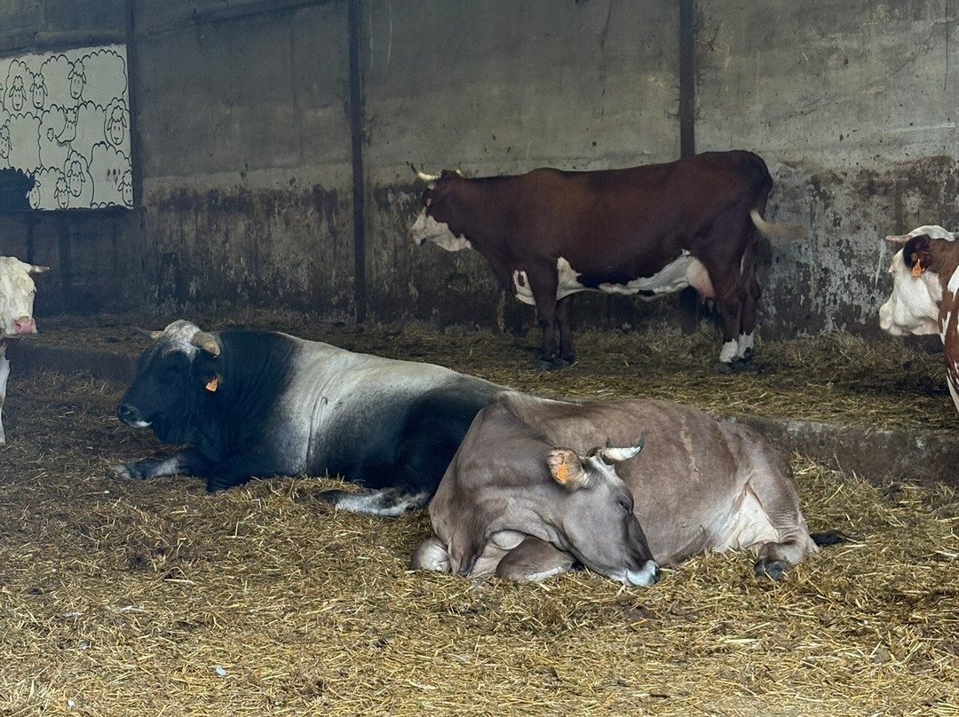La Ferme du Rialet-La Llagonne必去景点