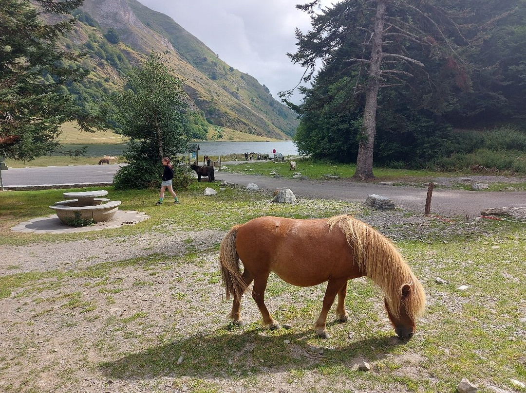 Lac D'Estaing-Estaing必去景点