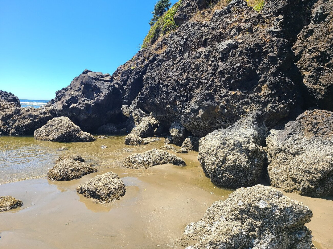 Agate Beach State Recreation Site-纽波特必去景点