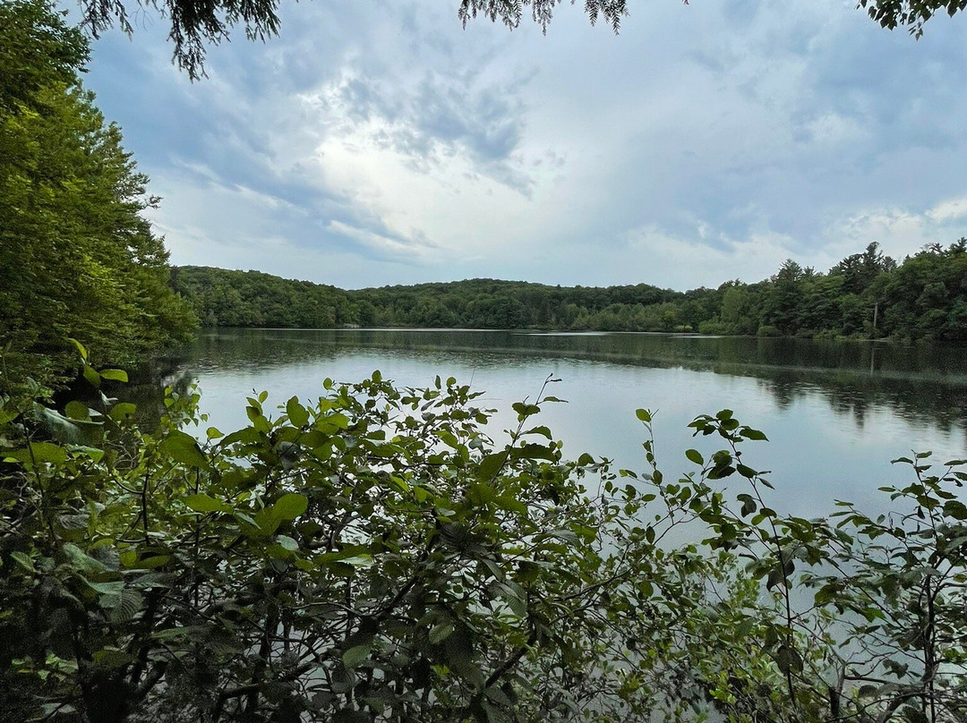 Parc National Du Mont St-bruno-蒙特利尔圣布鲁诺山必去景点