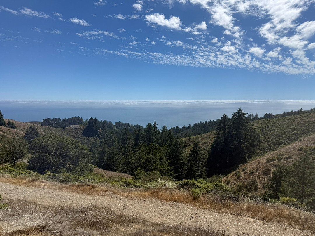 Dipsea Trail-米尔谷必去景点