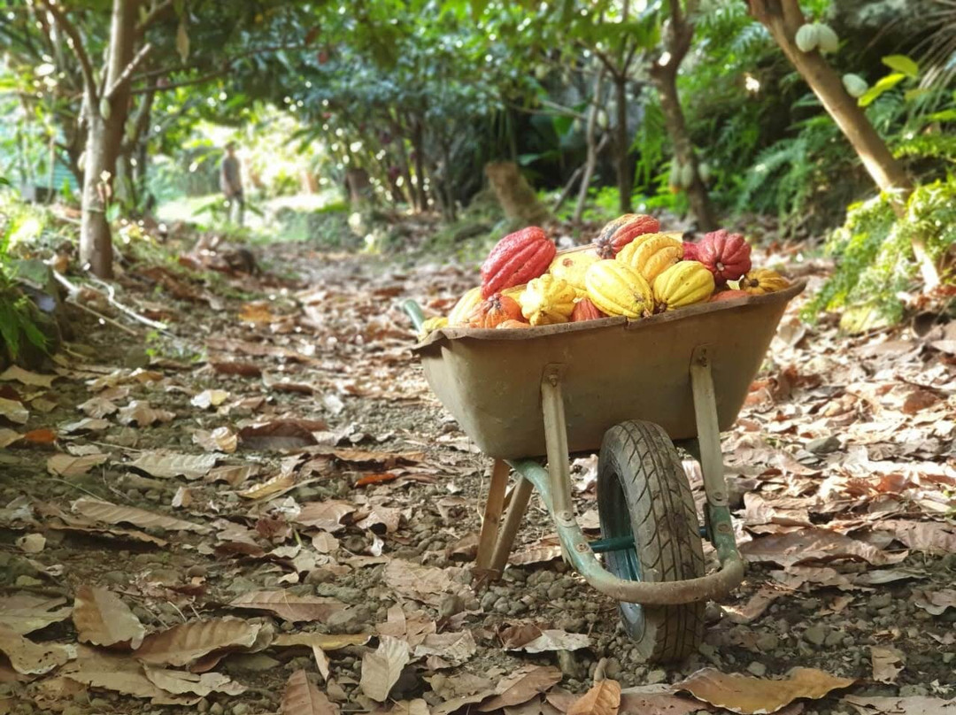 Bitasyon Bio-Saint-Philippe必去景点