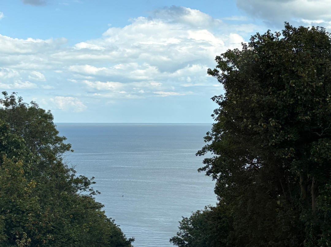 Crowndale Hotel主图