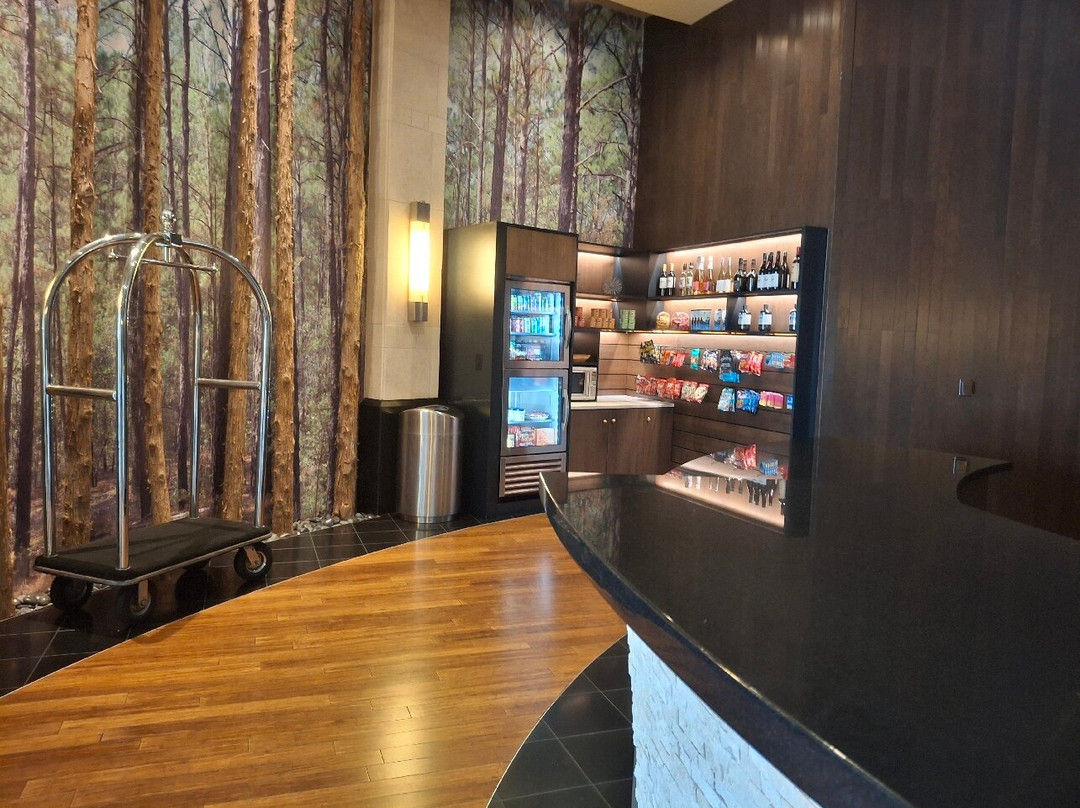 Hyatt Centric The Woodlands主图
