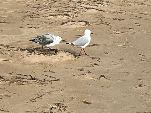 Port Sorell Boat Ramp-Port Sorell必去景点