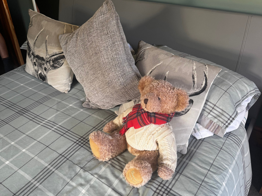 The Laurels Bed and Breakfast主图