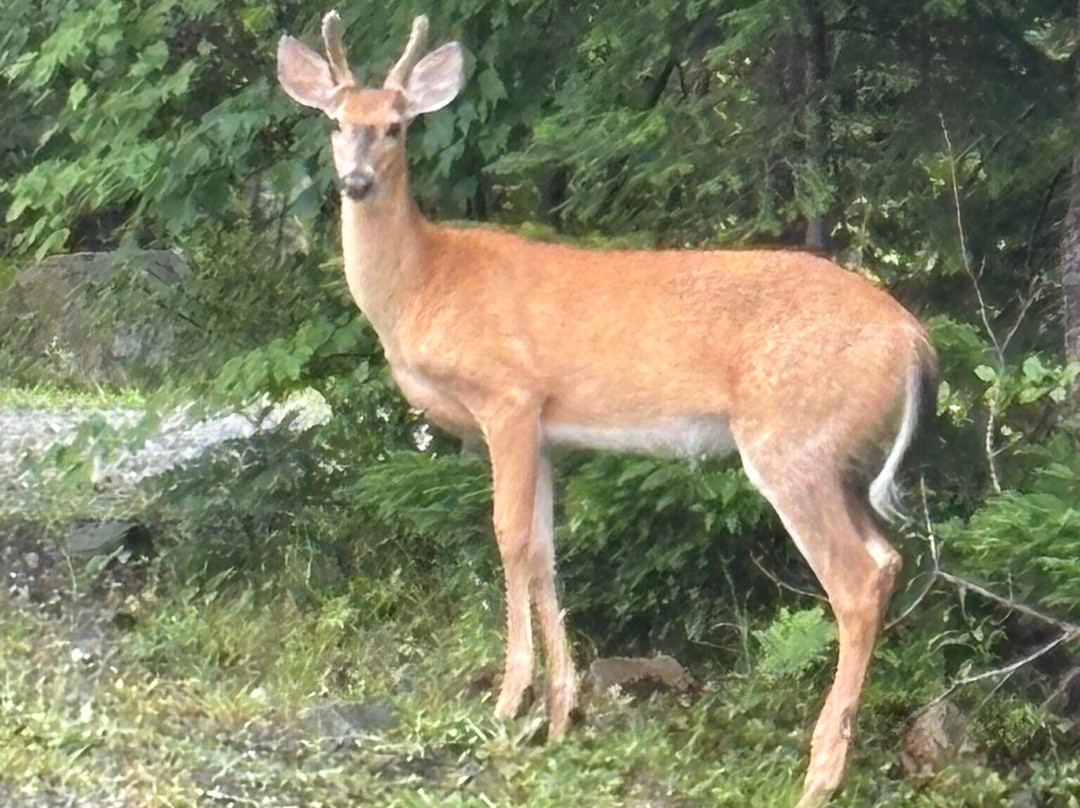 Deep Sky Eye Observatory-South Quinan必去景点