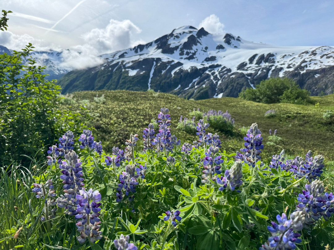 Seward Gateway Hotel主图
