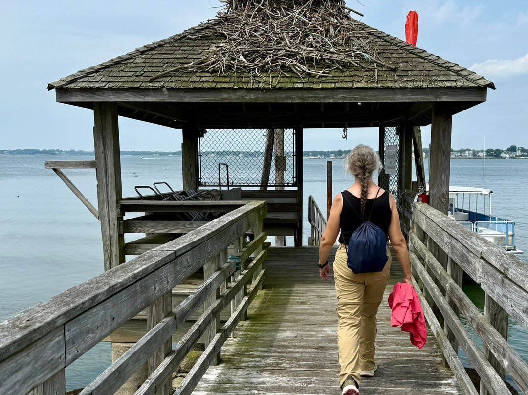 Sheffield Island Lighthouse-诺沃克必去景点