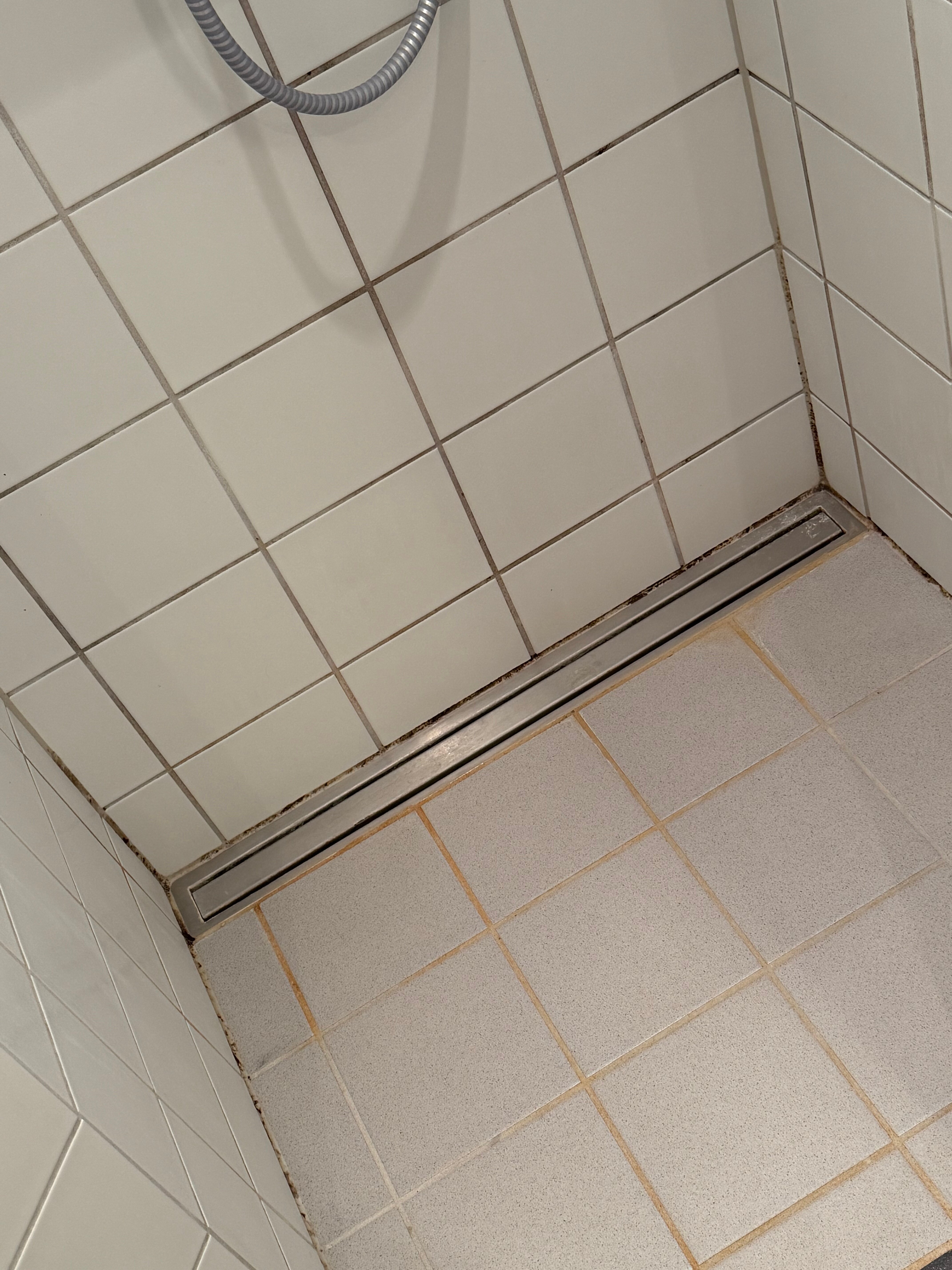 Fuglsoecentret-官方