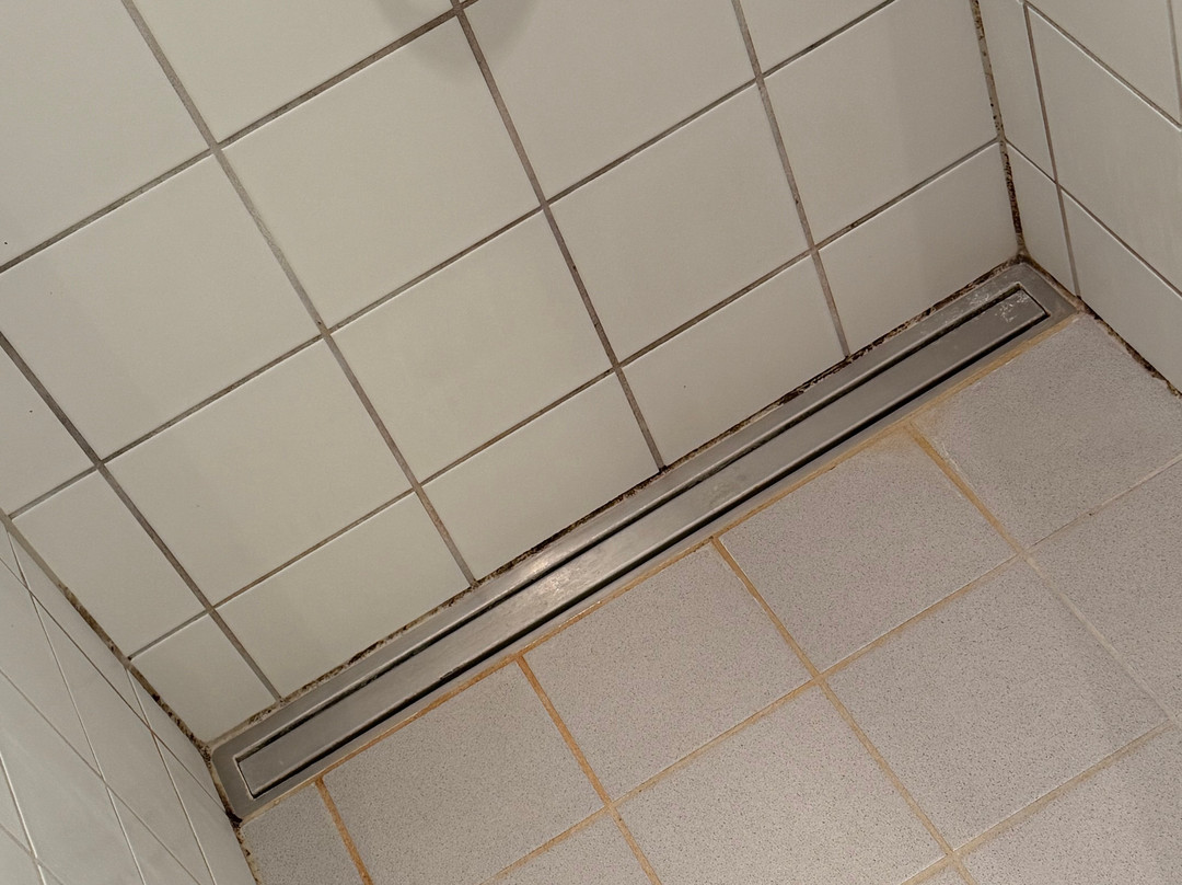 Fuglsoecentret主图