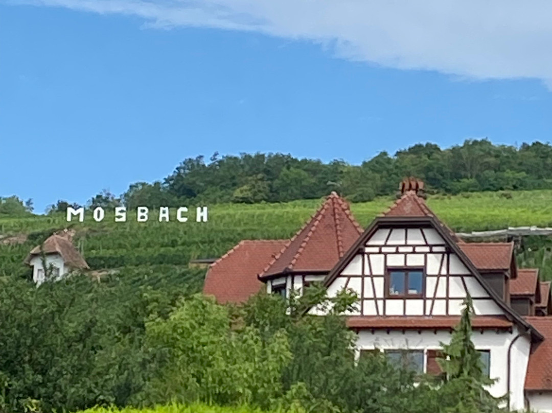 Vins d'Alsace Mosbach-马兰海姆必去景点