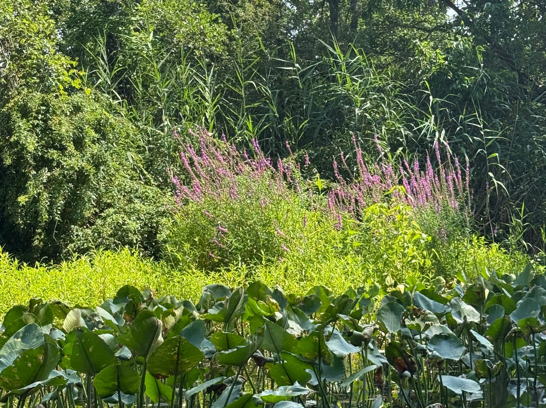 Lake Erie Canopy Tours-Geneva必去景点
