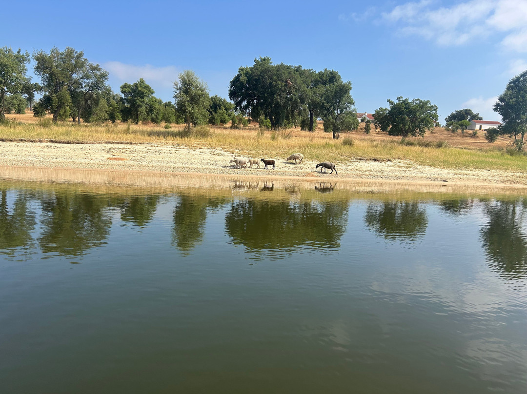 Passeios De Barco - Barragem De Montargil-Montargil必去景点