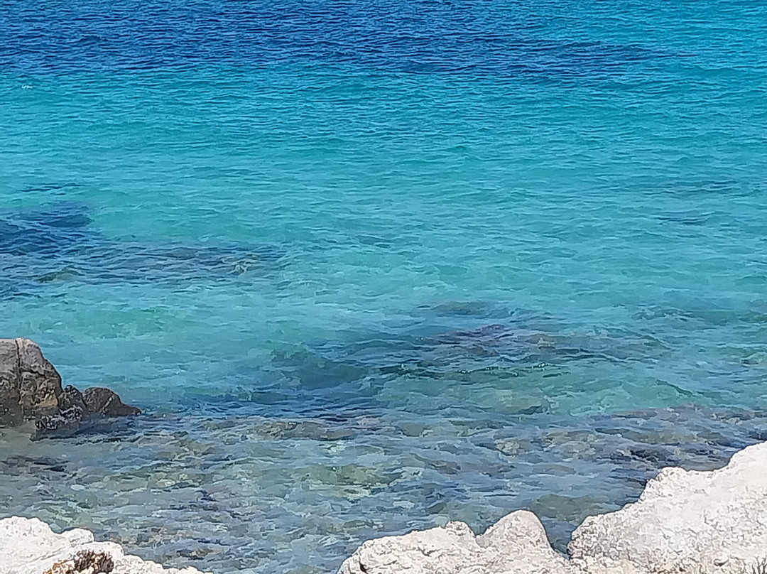 OlbiaExperience-奥尔比亚必去景点