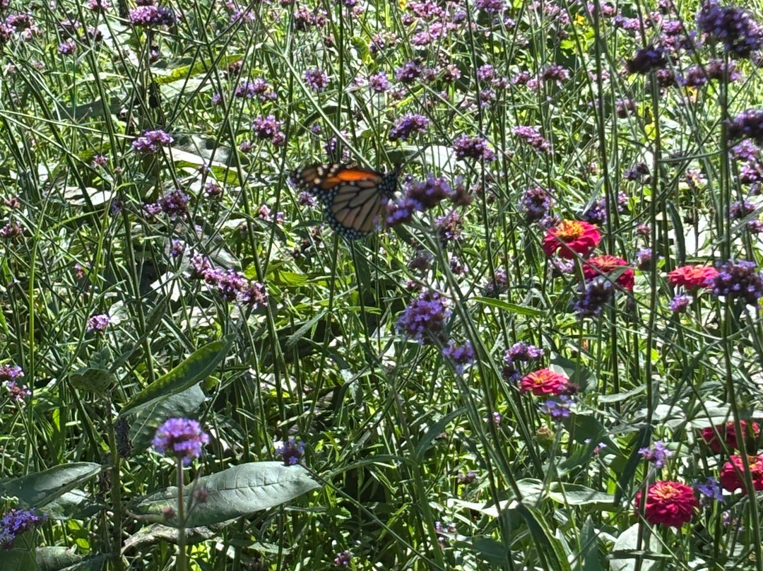 Wolf's Hollow County Park-Atglen必去景点