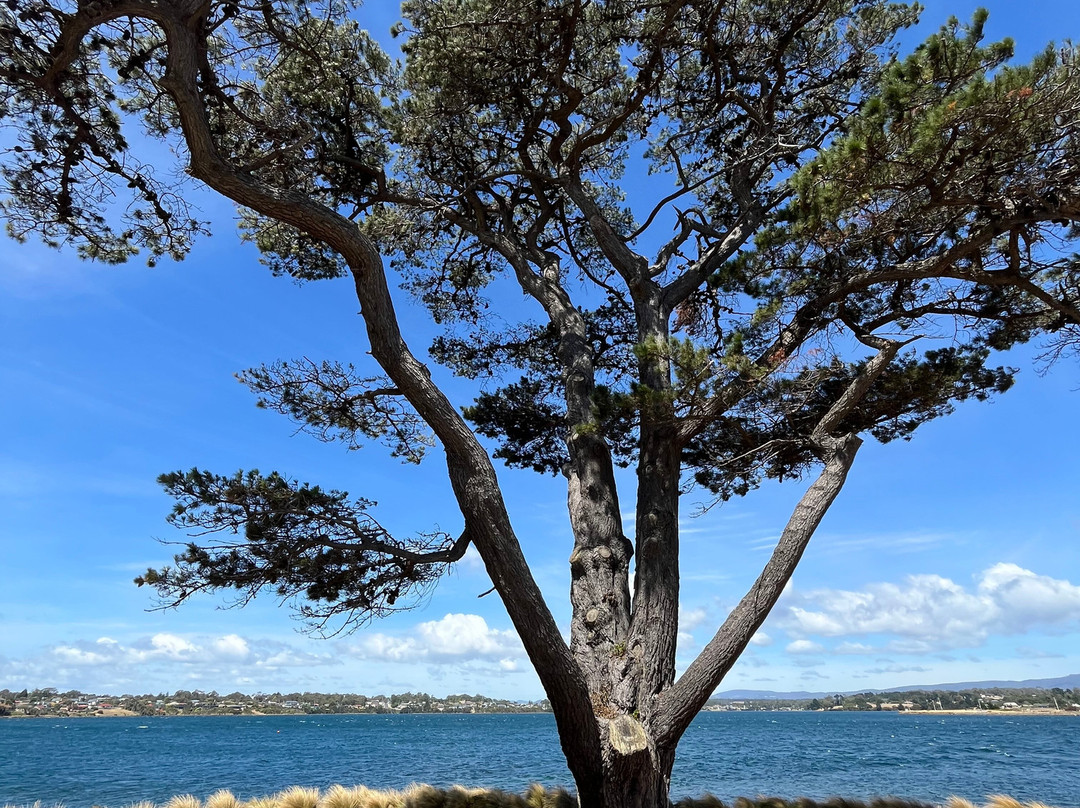 George Town War Memorial-George Town必去景点