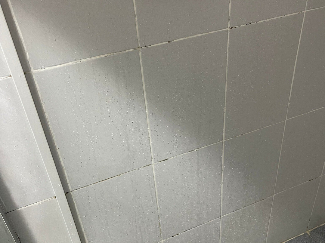 Tri Hotel Bento Gonçalves主图