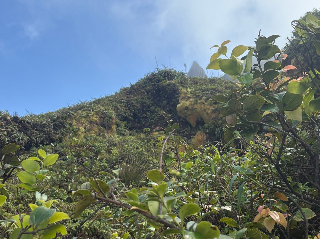 La Soufrière-Saint-Claude必去景点