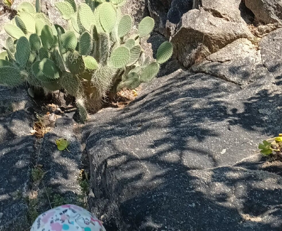 Village Abandonne de Comes-Eus必去景点