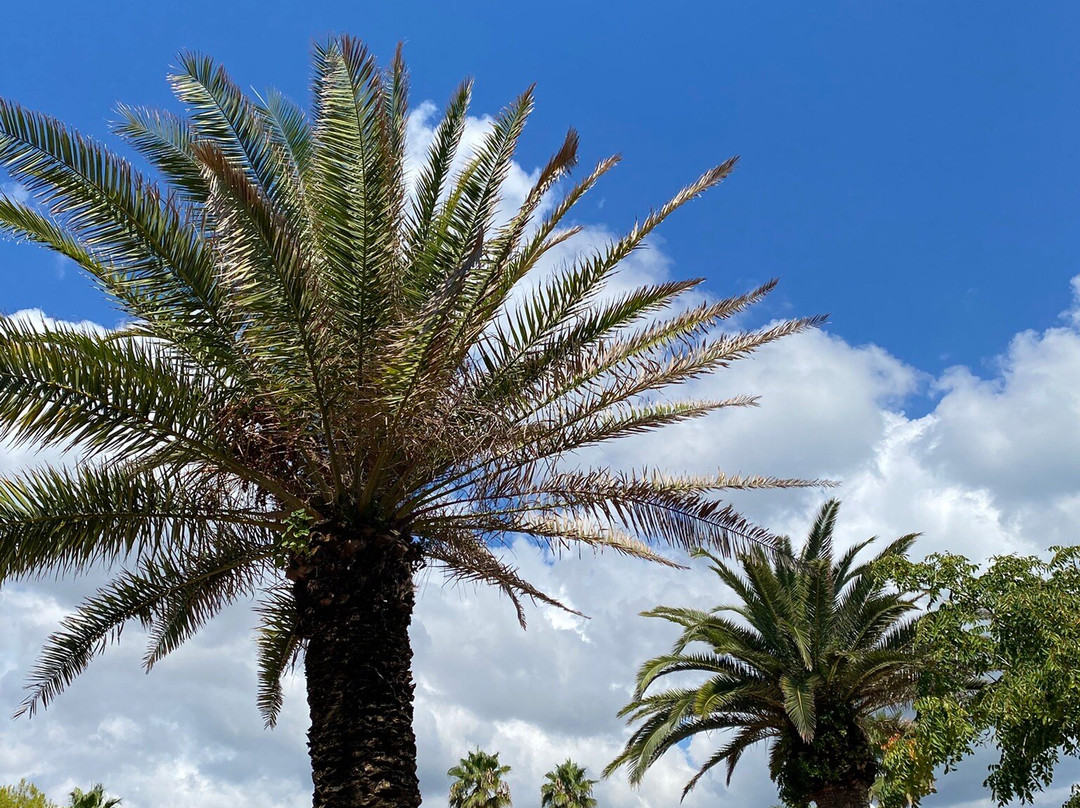 Hotel International主图