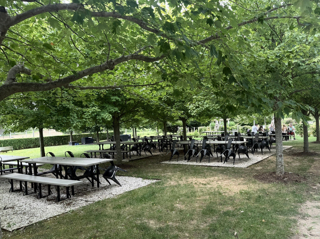 Jamesport Vineyards-Jamesport必去景点