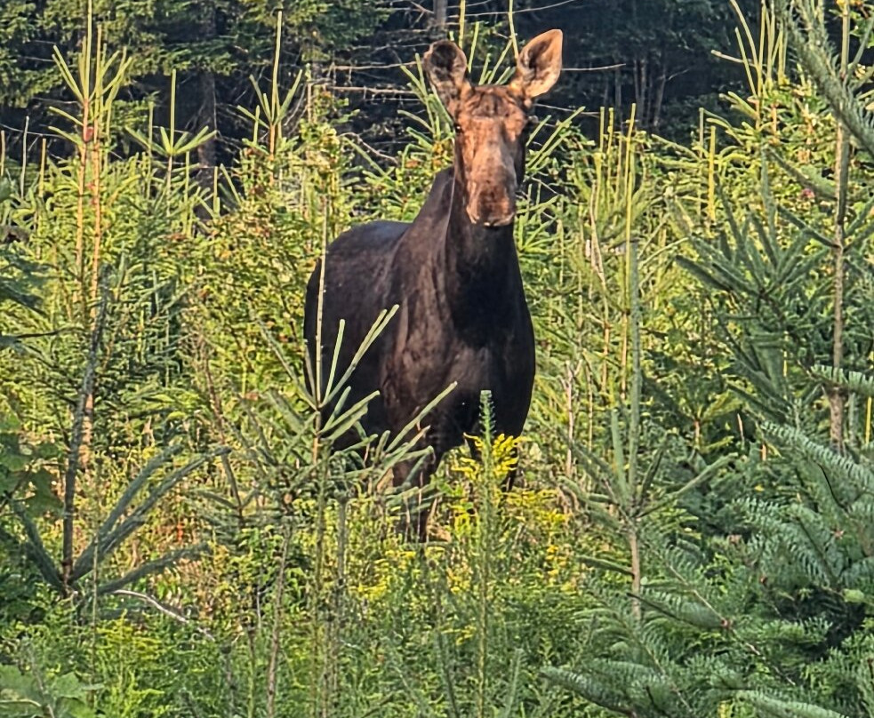 Northeast Whitewater-Shirley Mills必去景点