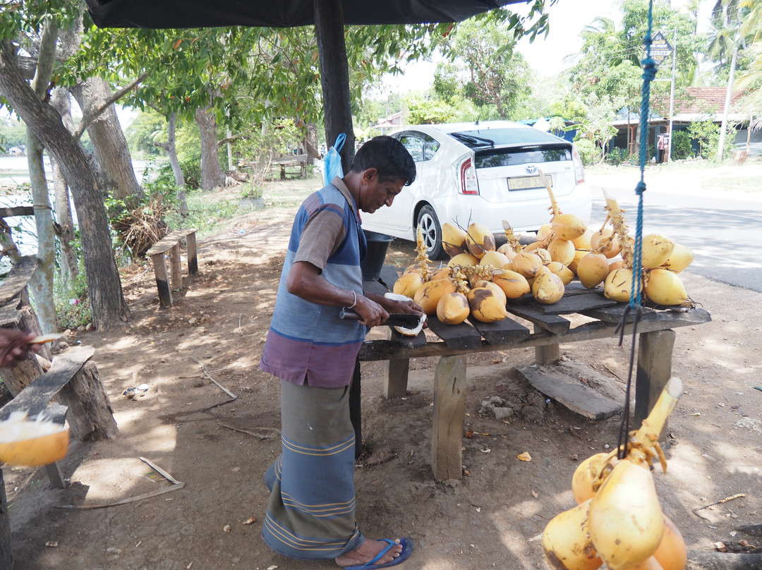 Ayu SL Tours-Piliyandala必去景点