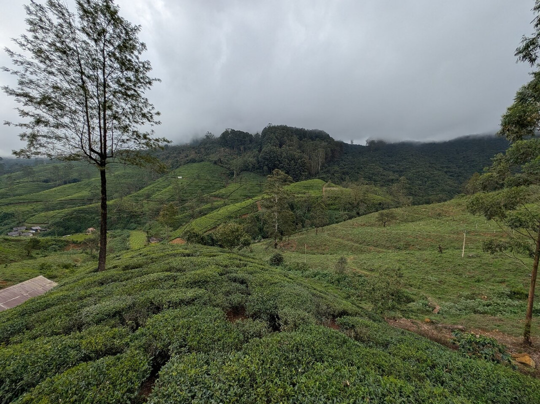 Helanka Tours Srilanka-乌纳瓦图纳必去景点
