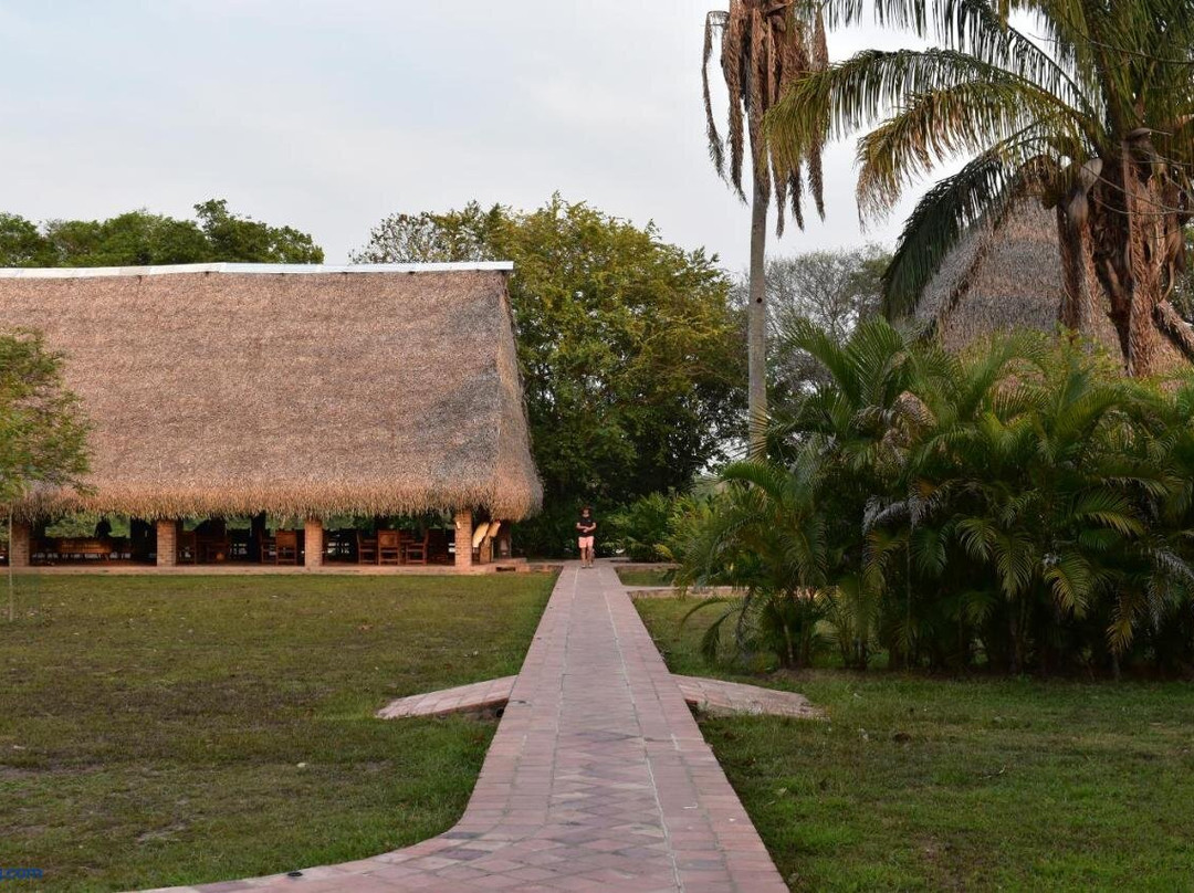 Savanna Orinoquia Lodge